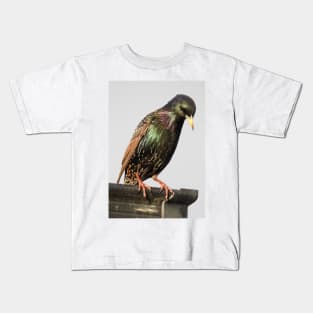 Starling Kids T-Shirt